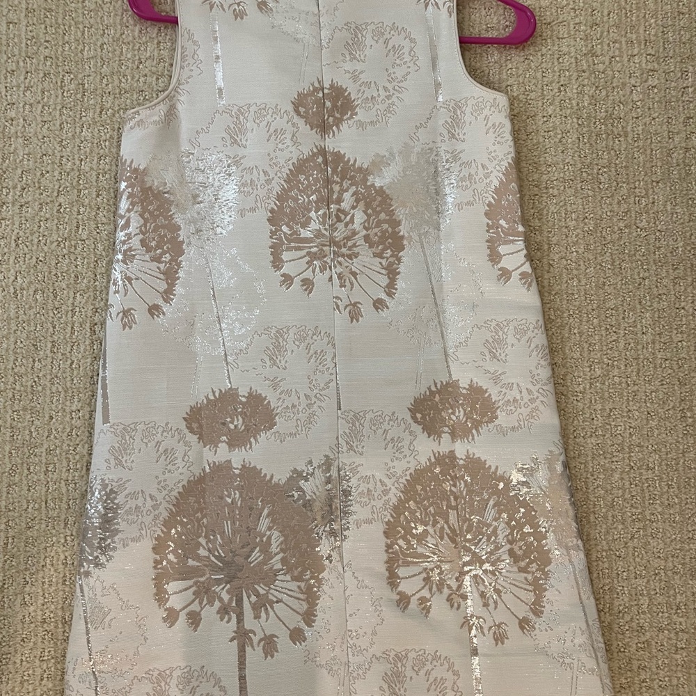 Shimmery dress